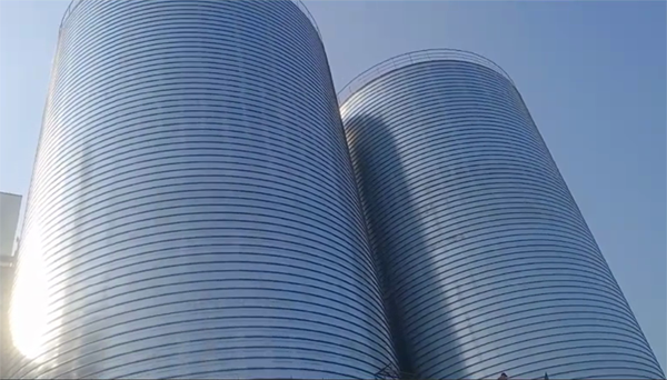 滨州2座混凝土高架卷板仓